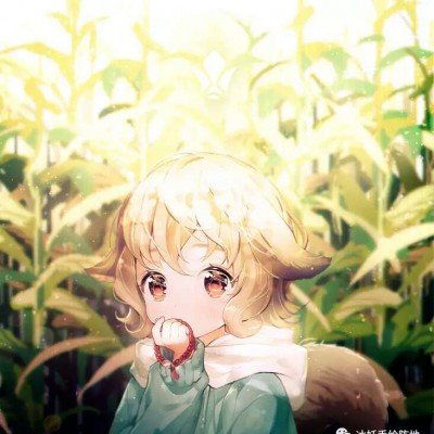 霍思燕淡出演艺圈后深耕训犬领域